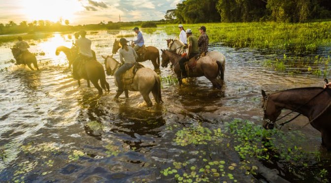 Hoje, é o dia do Pantanal – 🇸🇱🤠❤ Conheça o Pantanal, você vai se apaixonar. ❤🌎